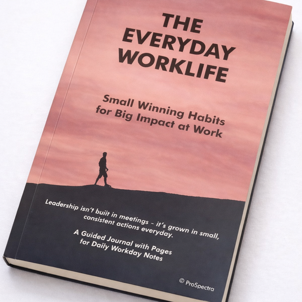 Pink And Black The Everyday Worklife Guided Journal Dairy For Professional And Students