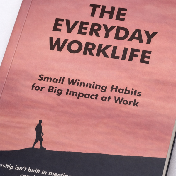 Pink And Black The Everyday Worklife Guided Journal Dairy For Professional And Students